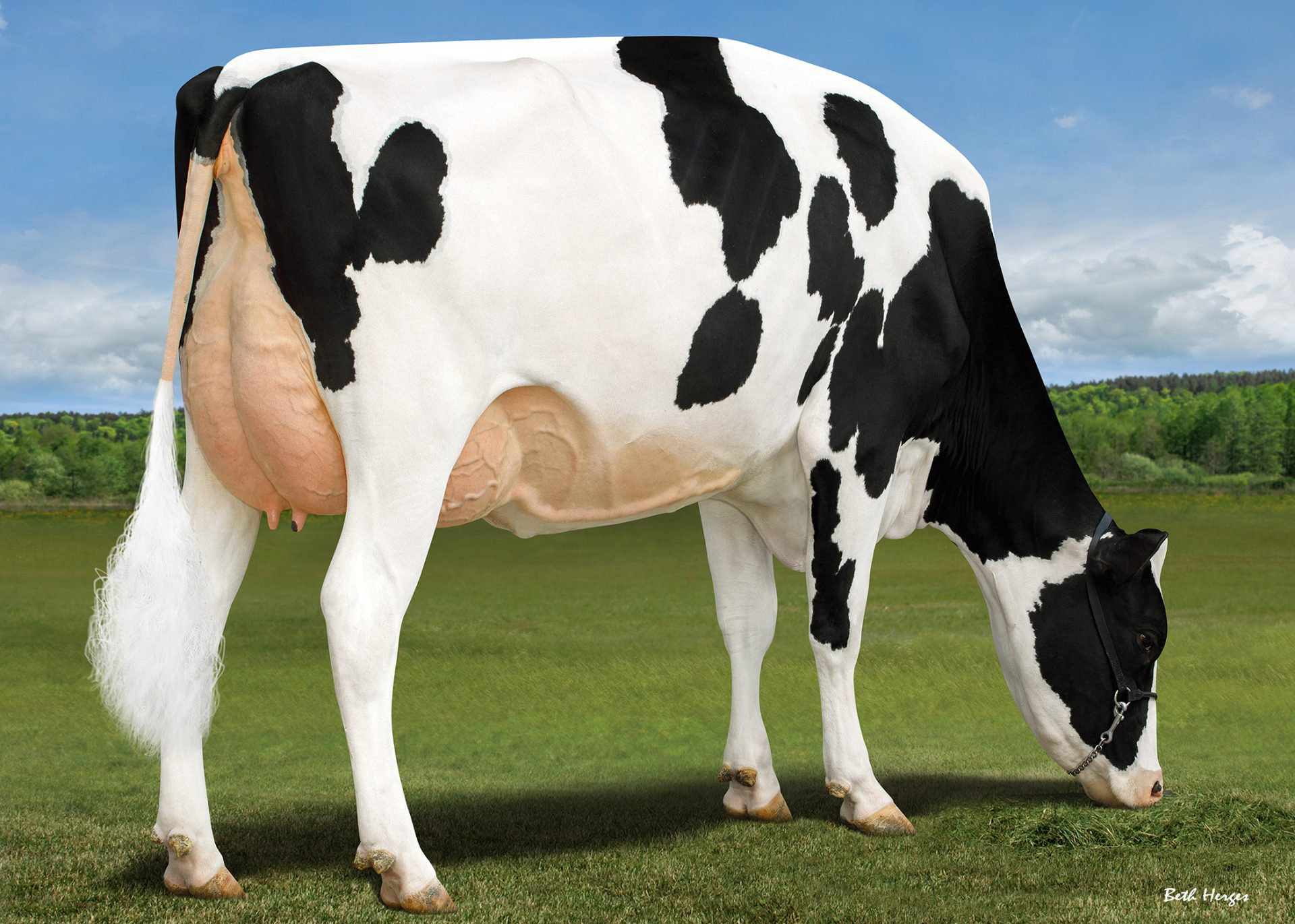 M: Macland DL on the Yoder EX-91