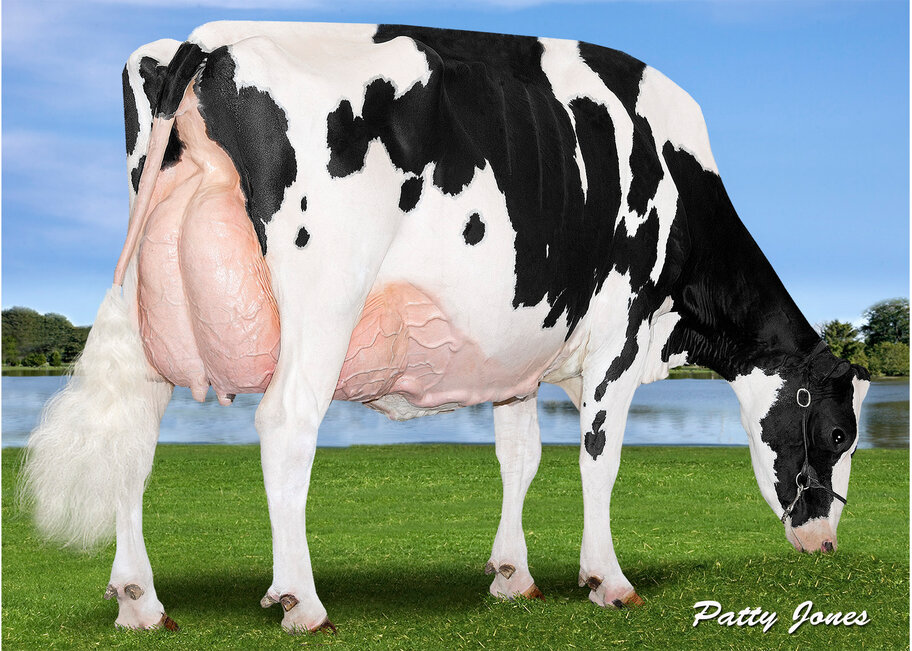 GM: Nipponia R D Lizabeth EX-96
