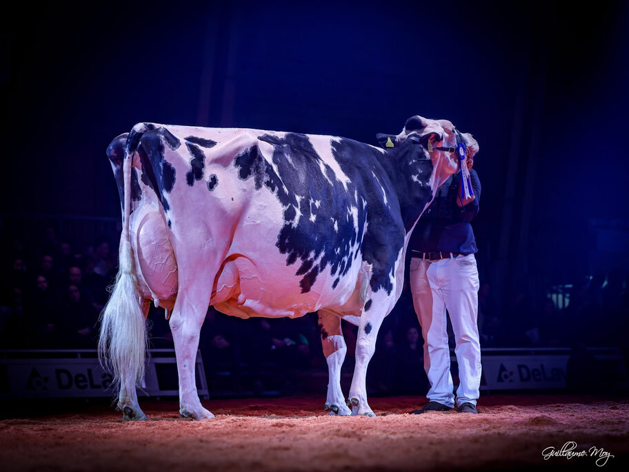 GM: Au Parchy Doorman Jolie EX-95 (96 MS)