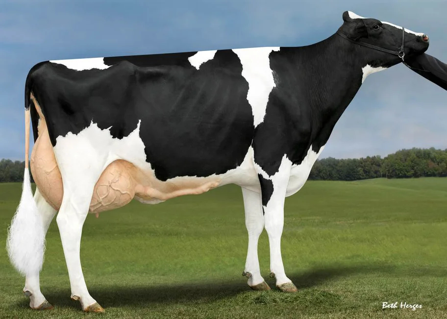 7.M: PEAK Menna Ahead 850 EX-91