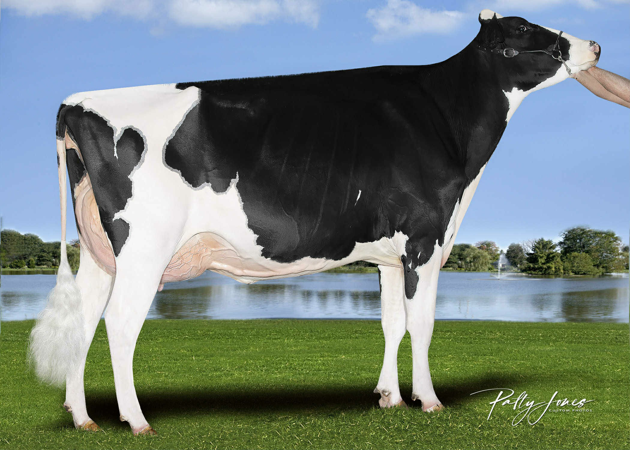 Dam: Kingsway Lambda Aston VG-87