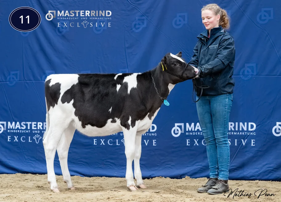 Perks Segway Italia P